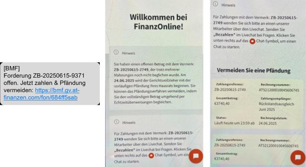 So können die betrügerischen Nachrichten bzw. die Fake-Website aussehen.