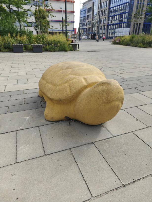 Eine steinerne Schildkröte steht auf einem gepflasterten Platz.