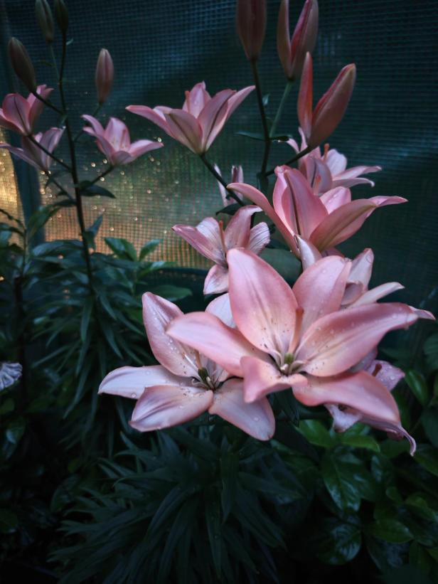 Akzeptables Nachtfoto.