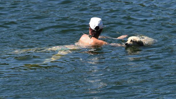 ++ THEMENBILD ++ WETTER / HITZE / SOMMER ++ THEMENBILD ++ WETTER / HITZE / SOMMER