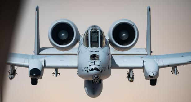A-10 mit Schnurrbart A-10 mit Schnurrbart
