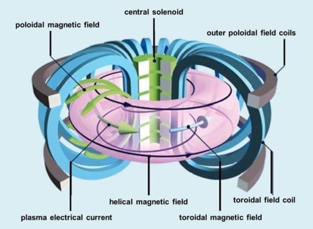 Der Zentralsolenoid ist in Grün dargestellt.