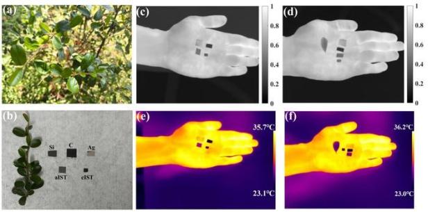 Darstellung aus dem Fachartikel mit Fotos und Infrarotaufnahmen der Materialien.