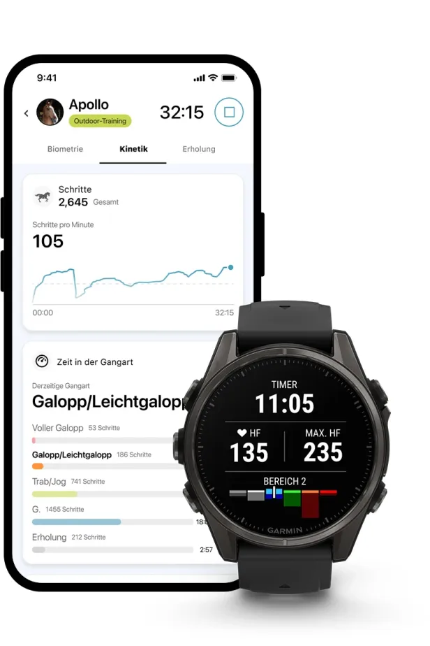 Handy- und Smartwatch-Interface.