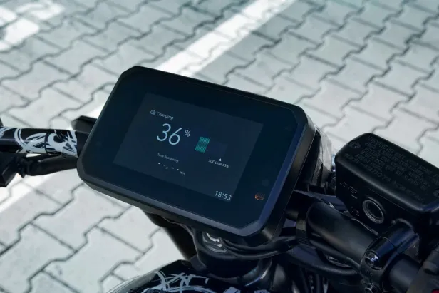 Das Display am Lenker.