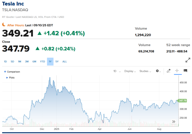 Die Tesla-Aktie in den vergangenen 12 Monaten.