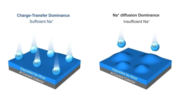 Da es mehr Na-Ionen gibt, lagern sich diese gleichmäßiger ab.