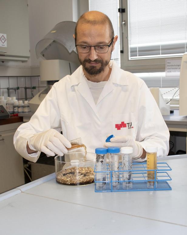 Ein Wissenschaftler gießt Flüssigkeit in ein Becherglas mit Pflanzenmaterial.