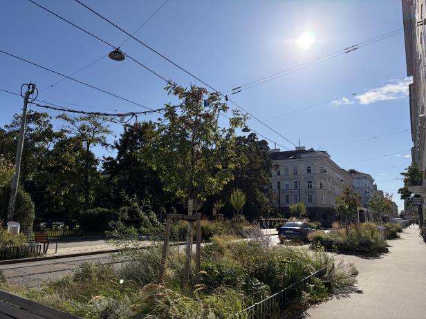 Eine Straße in einer Stadt mit einem Baum und einem blauen Auto.