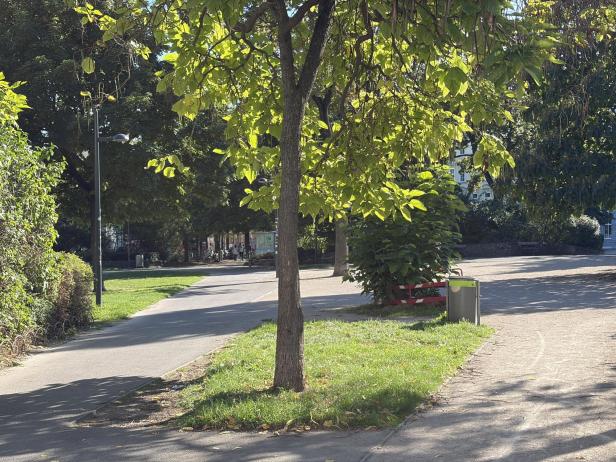 Ein Parkweg führt an einem Baum und einer Rasenfläche vorbei.