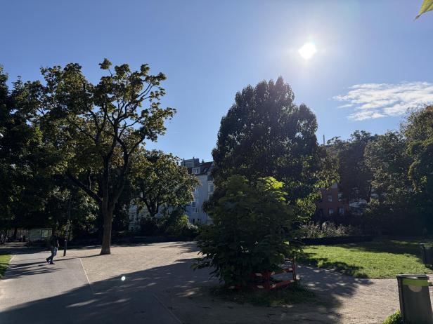 Ein Park mit Bäumen und einem sonnigen Himmel, aufgenommen mit einem iPhone Air.