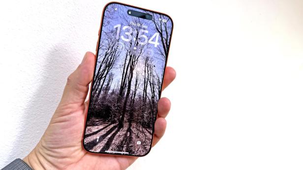 Ein iPhone zeigt ein Foto von einem Waldweg im Herbst.