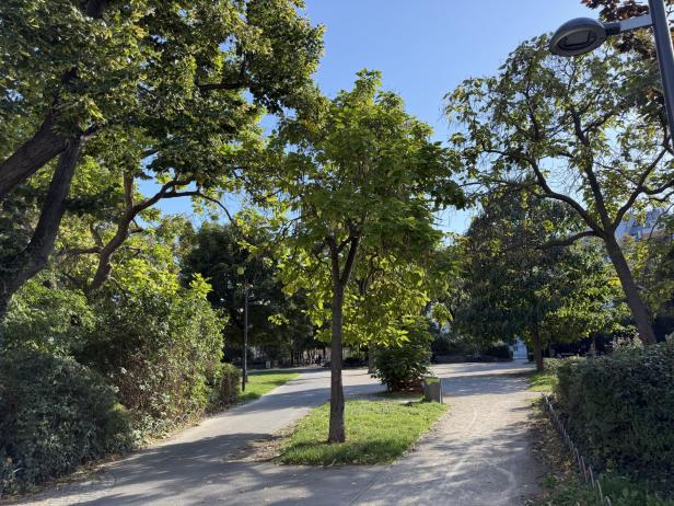 Ein Weg gabelt sich in einem Park mit Bäumen und Büschen.
