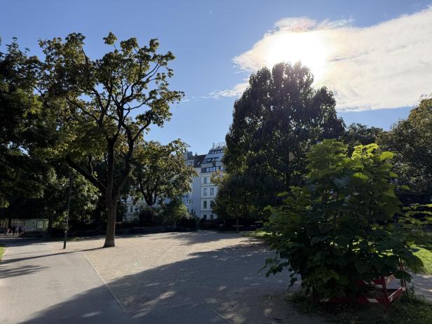 Ein sonniger Tag in einem Park mit Bäumen und einem Gebäude im Hintergrund.