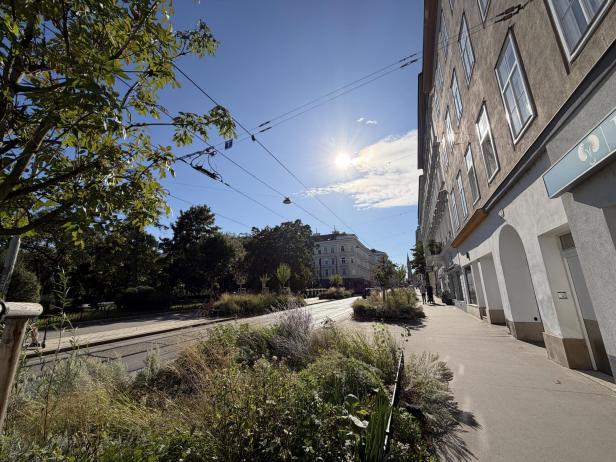 Eine Straßenbahnhaltestelle mit üppiger Bepflanzung an einem sonnigen Tag.