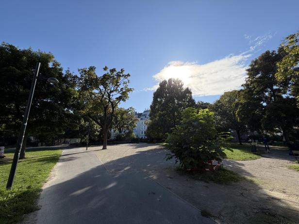 Ein Parkweg mit Bäumen und einem Gebäude im Hintergrund, die Sonne scheint hell.