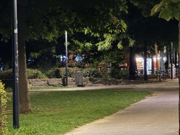 Ein Parkweg führt nachts an einem Rasen und Bäumen vorbei.