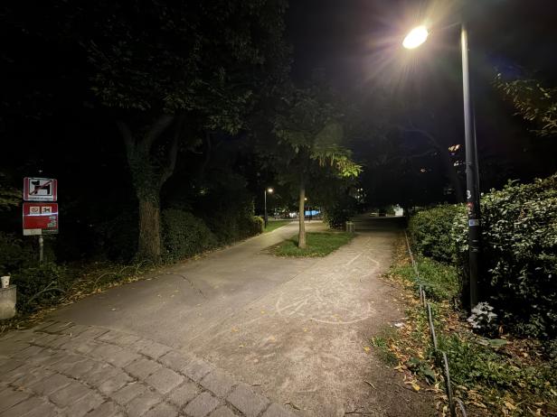 Ein beleuchteter Weg führt durch einen Park bei Nacht.