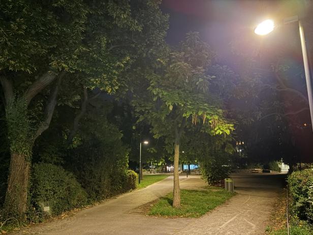 Ein Parkweg wird nachts von einer Straßenlaterne beleuchtet.