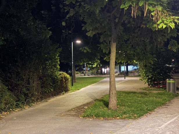 Ein Gehweg führt durch einen Park in der Nacht, beleuchtet von Straßenlaternen.