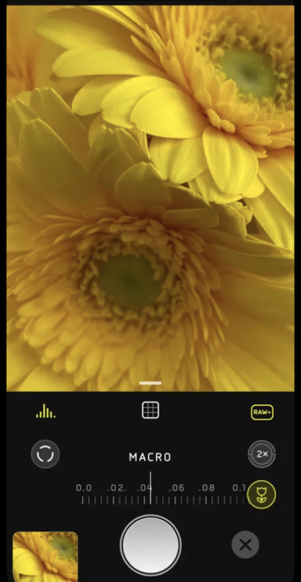 Die Makro-Option in der Halide-App ist aktiviert und zeigt gelbe Blüten.