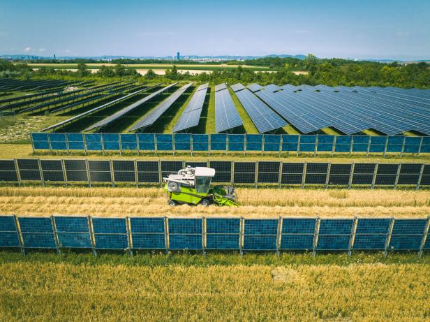 Agri-PV von Wien Energie in der Schafflerhofstraße.