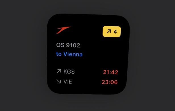 Widget der Flighty-App mit Zeiten und Gate