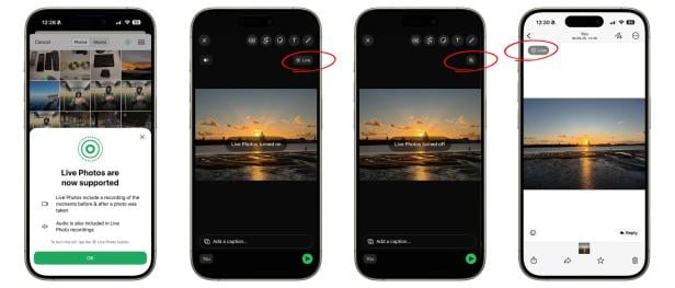 So nutzt man Live-Fotos in WhatsApp