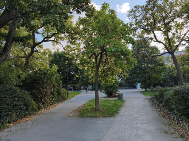 Xiaomi 15T Pro: Hauptkamera