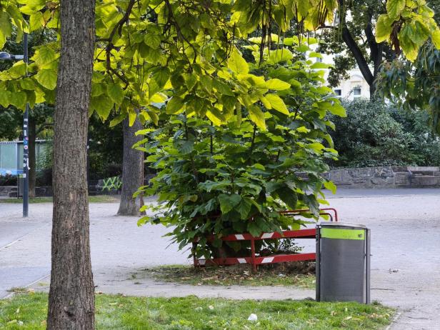 Xiaomi 15T Pro: 5x optischer Zoom