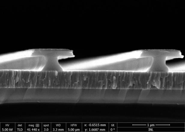 Die T-förmigen Nanostrukturen aus Gold.