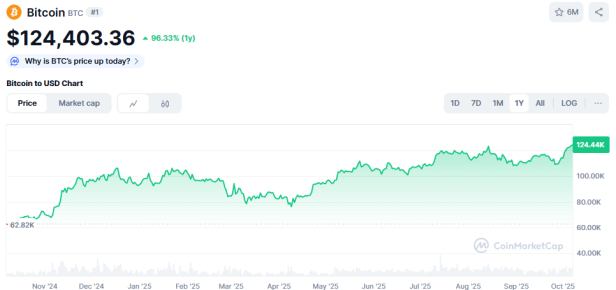 Der Bitcoin-Kurs in den vergangenen 12 Monaten