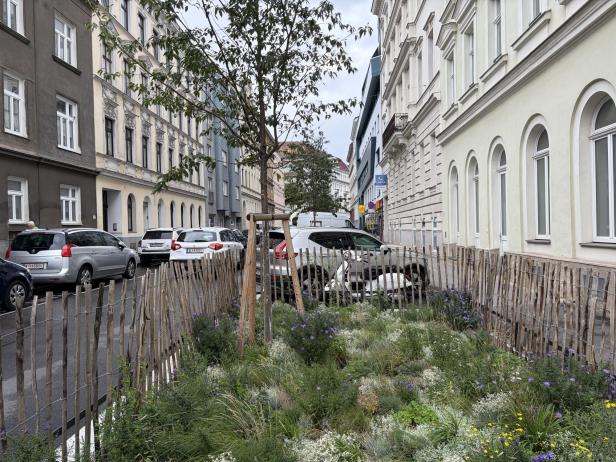 Beispielbild mit dem iPhone 17