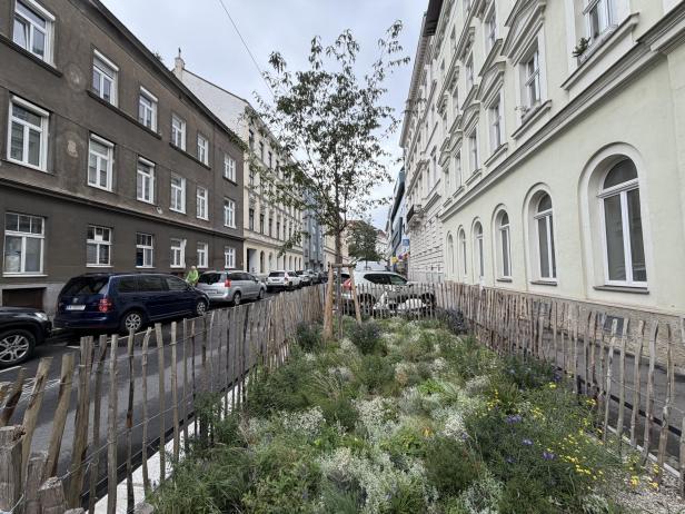 Beispielbild mit dem iPhone 17