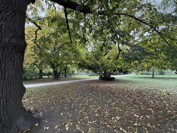 Beispielbild mit dem iPhone 17