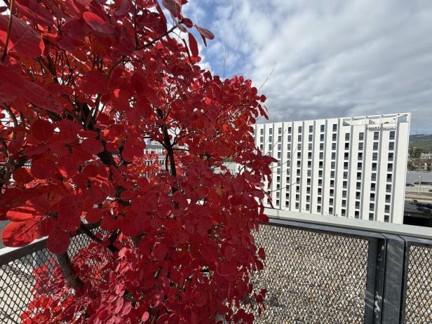 Beispielbild mit dem iPhone 17