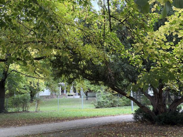 Beispielbild mit dem iPhone 17