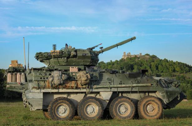 Radpanzer Stryker steht in der Wiese