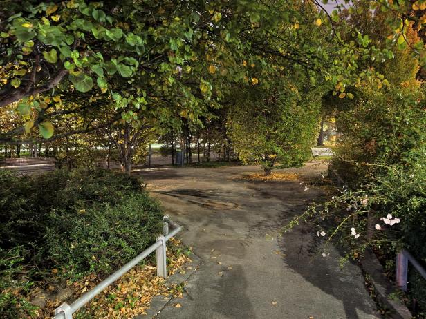 Vivo X300 Pro: Foto mit der Hauptkamera