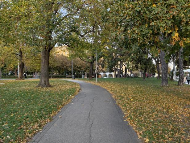 Vivo X300 Pro: Foto mit der Hauptkamera