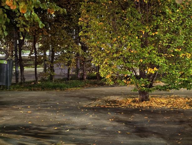 Vivo X300 Pro: Beispielfoto mit dem 3,7x optischen Zoom