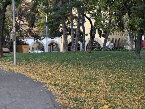 Vivo X300 Pro: Beispielfoto mit dem 3,7x optischen Zoom