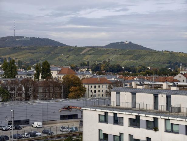 Vivo X300 Pro: Beispielfoto mit dem 3,7x optischen Zoom