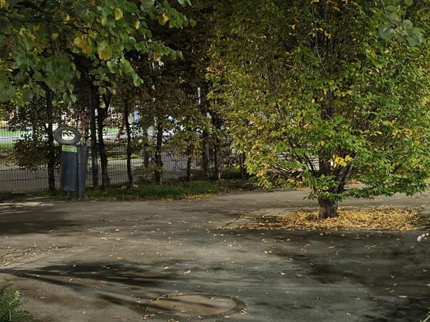 Oppo Find X9 Pro: Beispielfoto mit 3x optischen Zoom