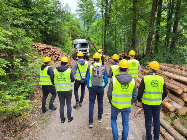 Der Kran im Einsatz im Forstbetrieb Franz Mayr-Melnhof-Saurau