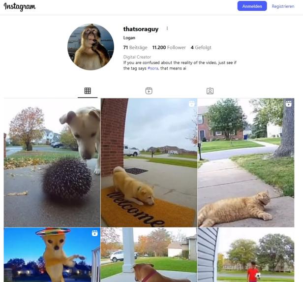 Nicht nur der Nutzername enthält Sora, auch die Beschreibung sagt ganz klar, dass hier KI-Videos gepostet werden.