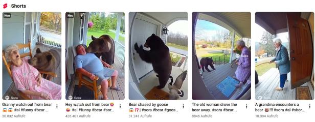 Gerade ein sehr beliebtes Szenario bei KI-Videos: Bären versus alte Manschen auf der Veranda.