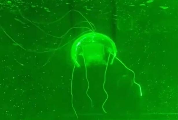 grün gefärbtes Bild des Quallenroboters unter Wasser