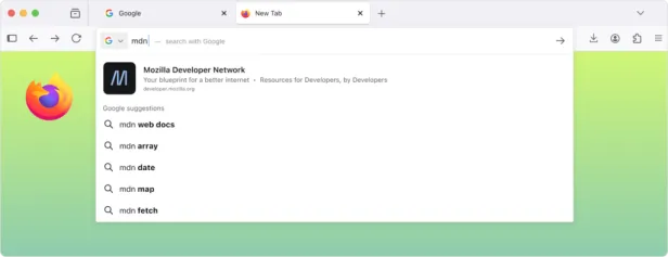 Ein Beispiel der Adressleiste, wenn man nach einer URL sucht