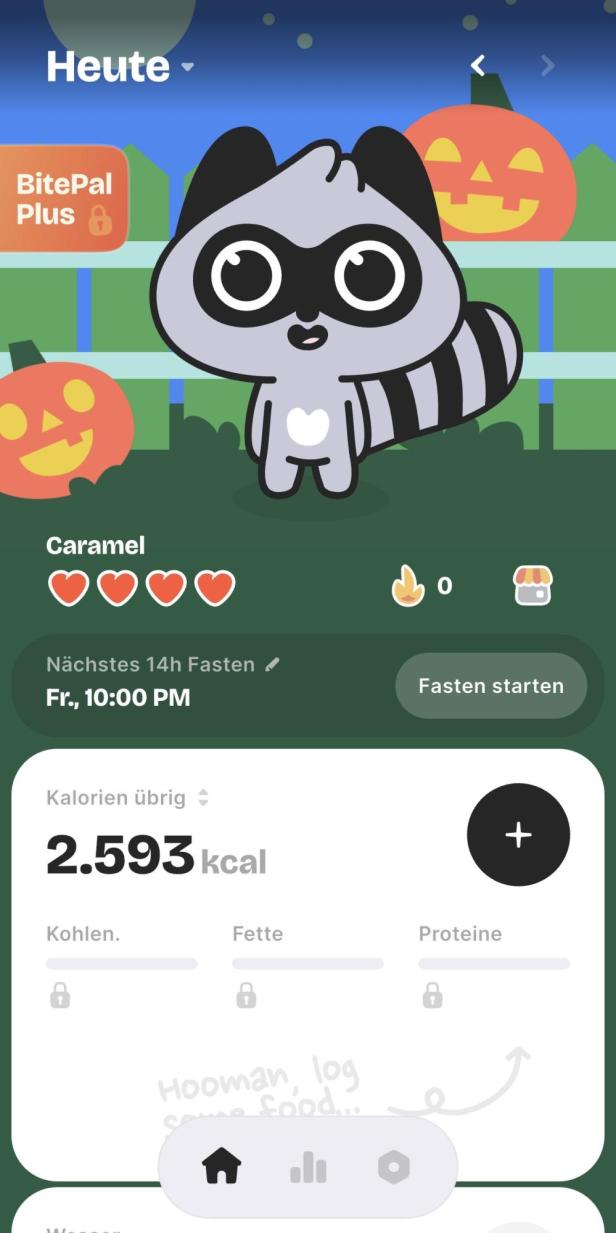 Dashboard der BitePal-App mit dem Waschbär sowie einer Übersicht der Makro-Werte